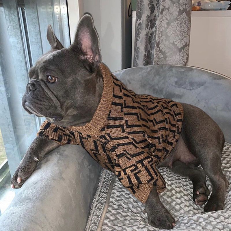 pet sweaters