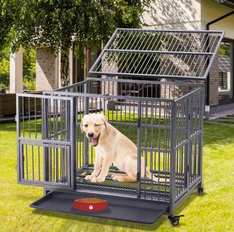 strong dog cage