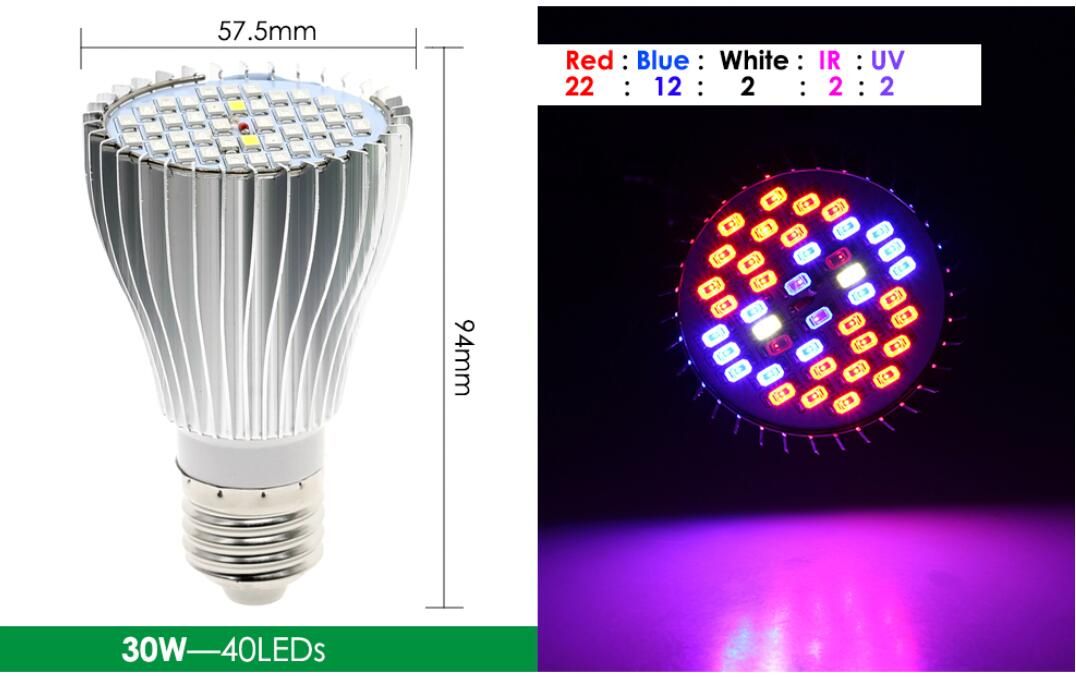 30W 40LEDs