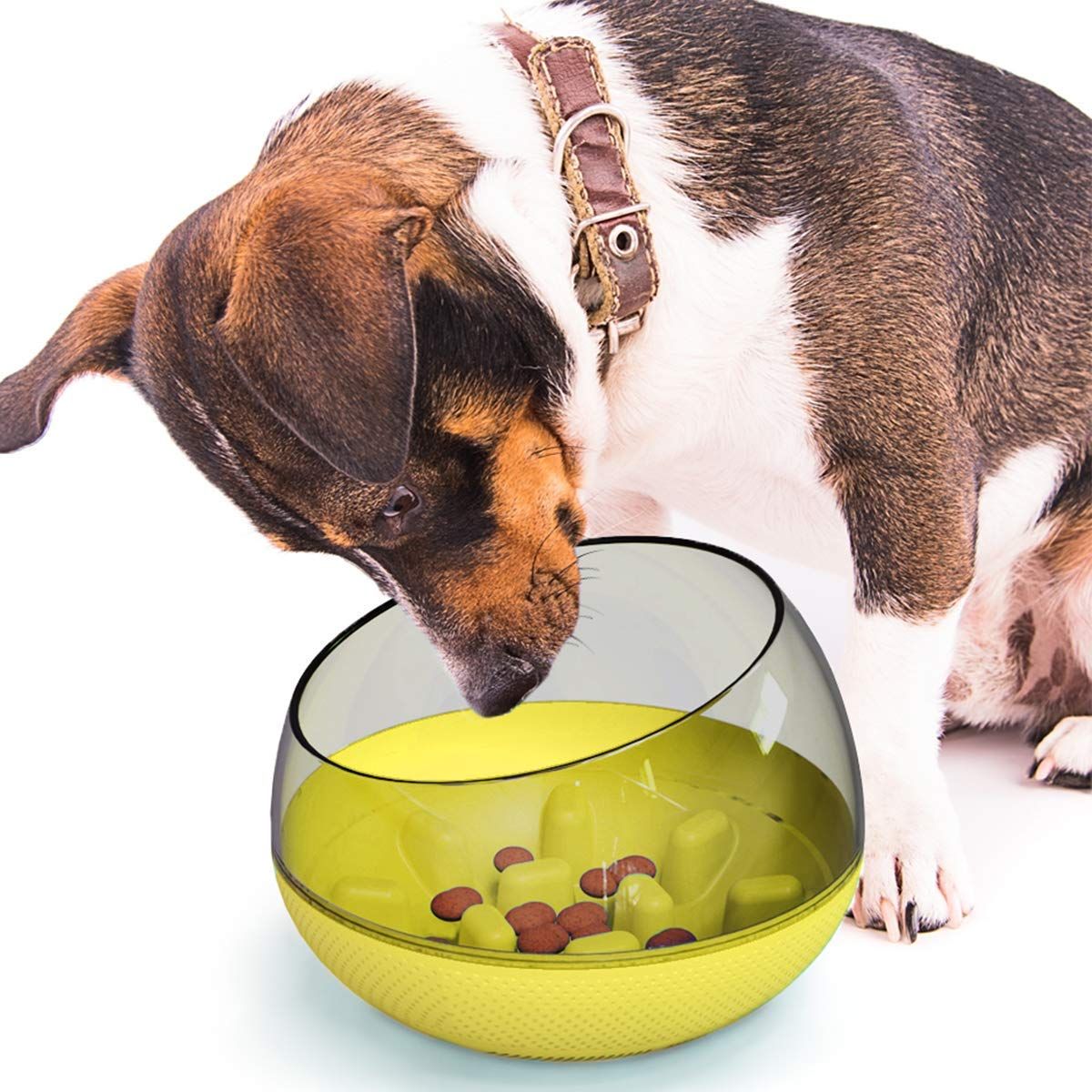 large dog food feeder