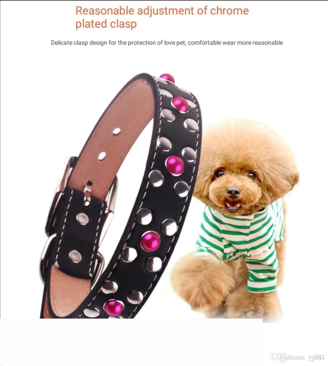 puppy collar and lead