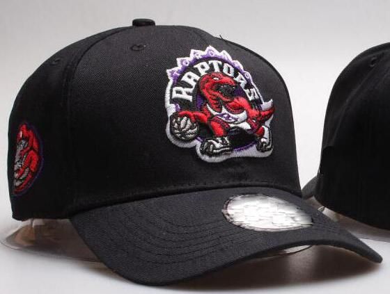 raptors ball caps