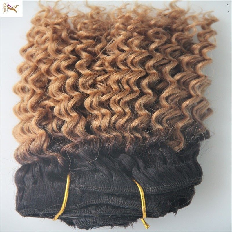 Two Types Color Deep Wave Brazilian Virgin Hair Weave Bundles 100