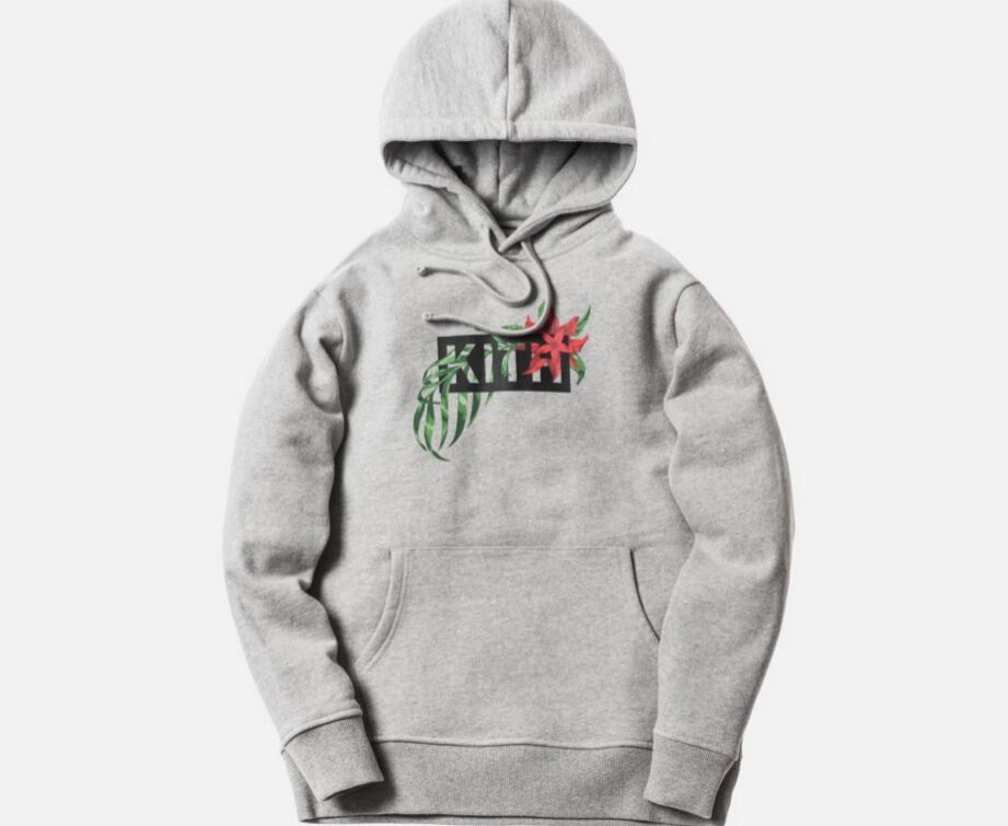 kith hoodie mens