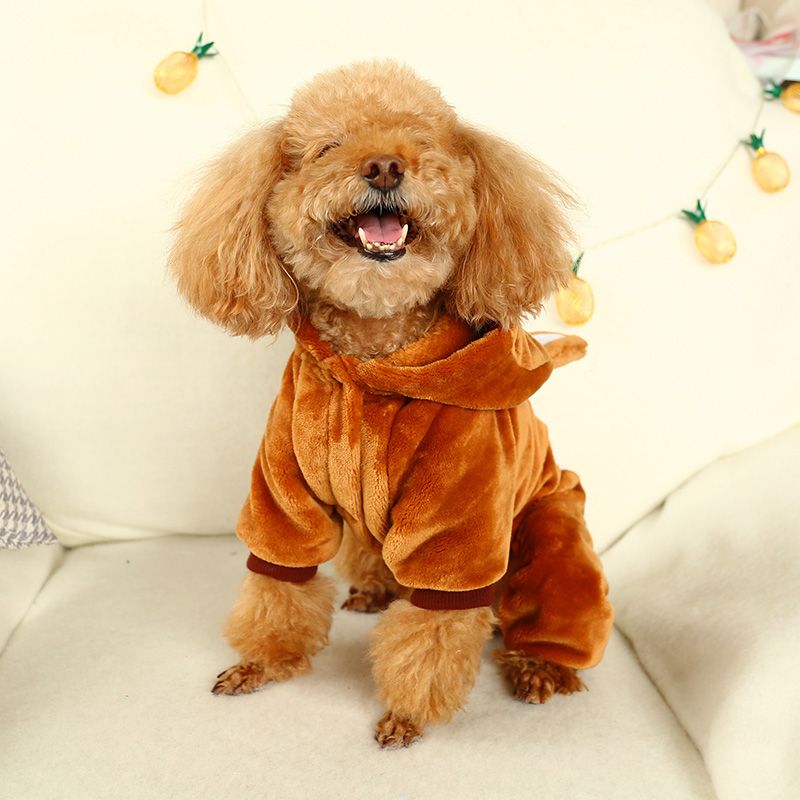 miniature poodle clothes