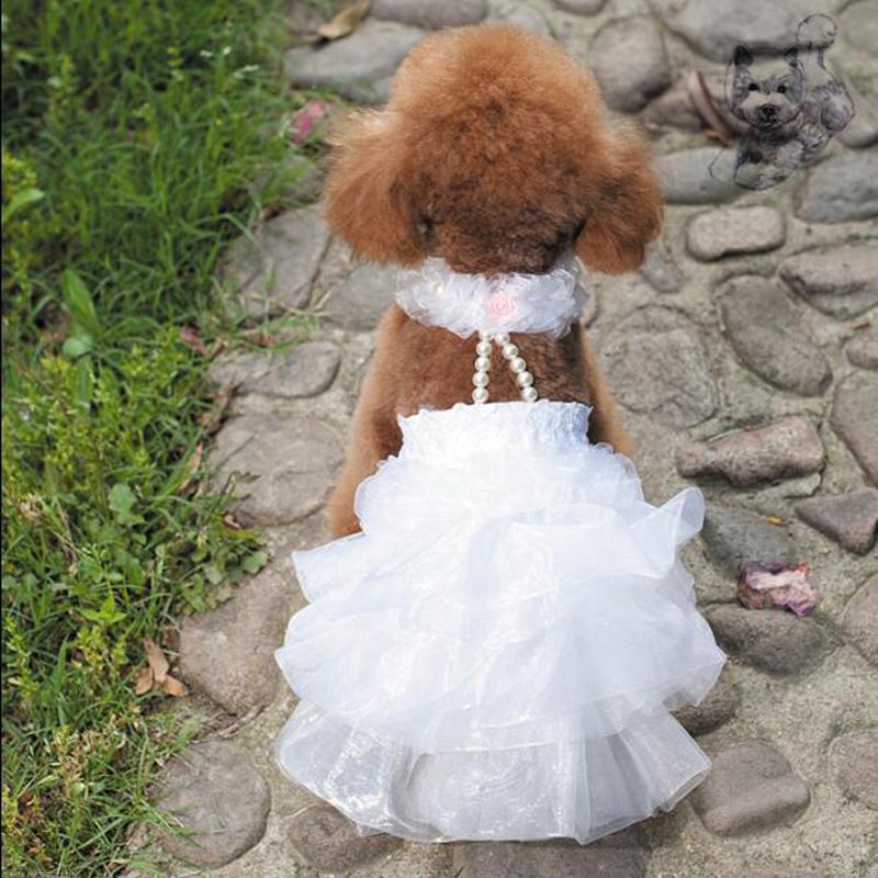 Acheter Robe Pour Chien Robe De Mariee Dete Pour Animaux De Compagnie Robe De Princesse Robes Pour Animaux De Compagnie Accessoires Pour Animaux Vetements Pour Chiens Blanc Rose Couleur Utilisation De Mariage