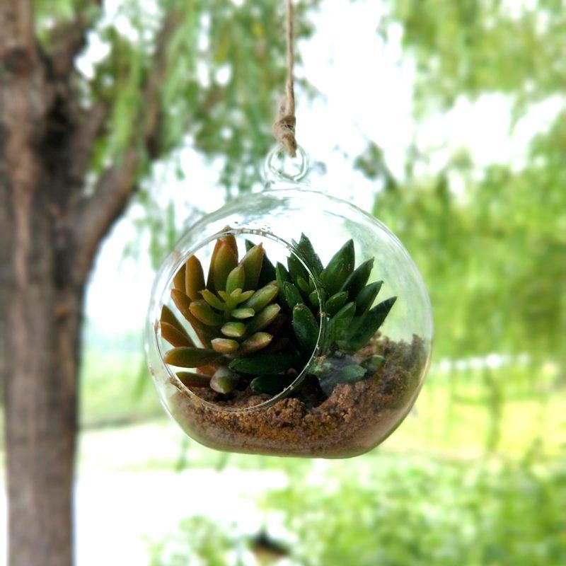 Creative Hanging Glass Vase Succulent Air Plant Display Terrarium