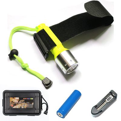 Flashlight+Battery+Charger Plug+Box