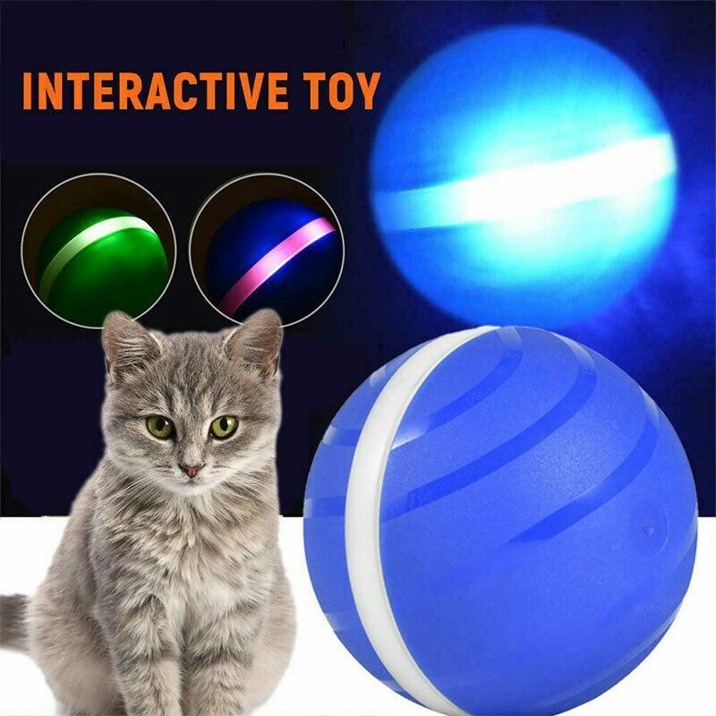 automatic rolling ball dog toy