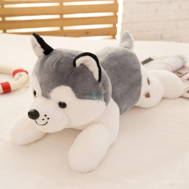 cuddly husky toy