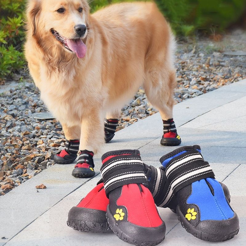 puppy boots for dogs