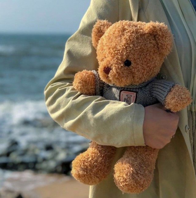 ragdoll teddy bear
