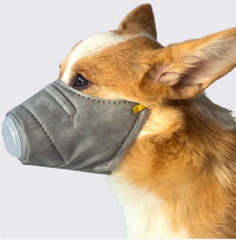 box muzzle for dogs