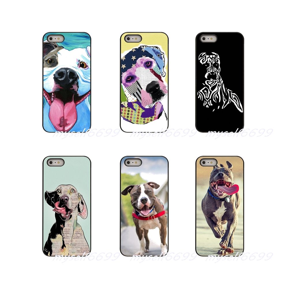 kopek resmi boyama pitbul kopek resmi