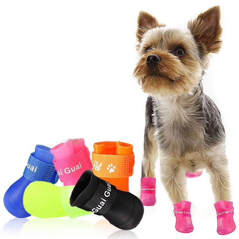 pet shoes
