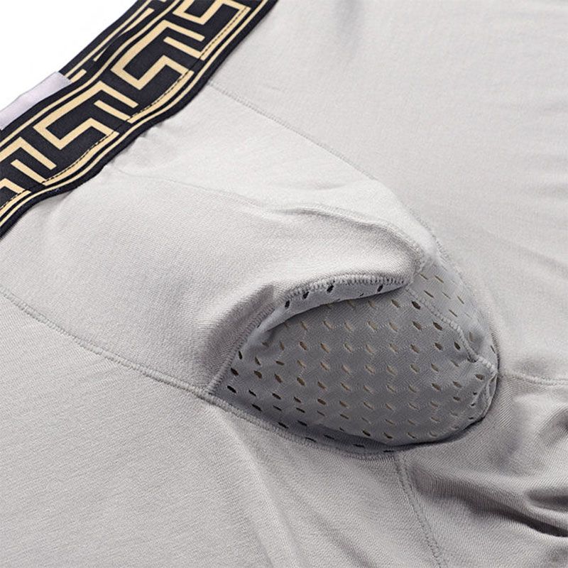 Discount Underwear Men Mens Hollow Out Separates Scrotum Design Modal