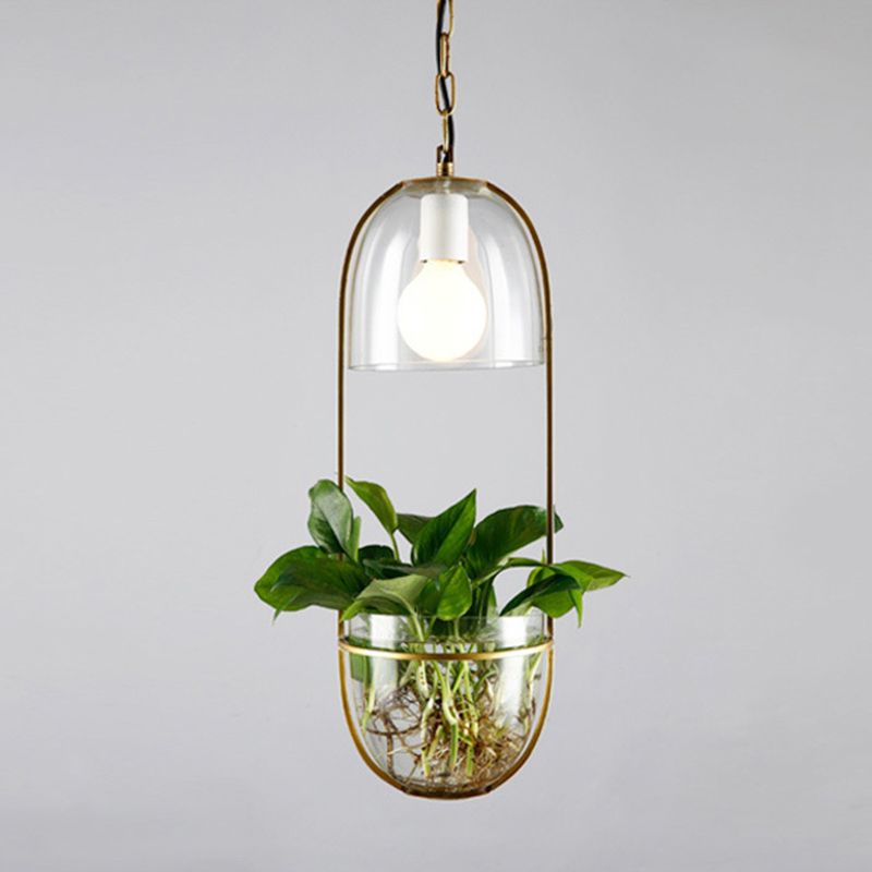 Garden Flowers Potted Plants Pendant Lamp Wrought Iron Glass Garden Suspension Lights Nordic Bar