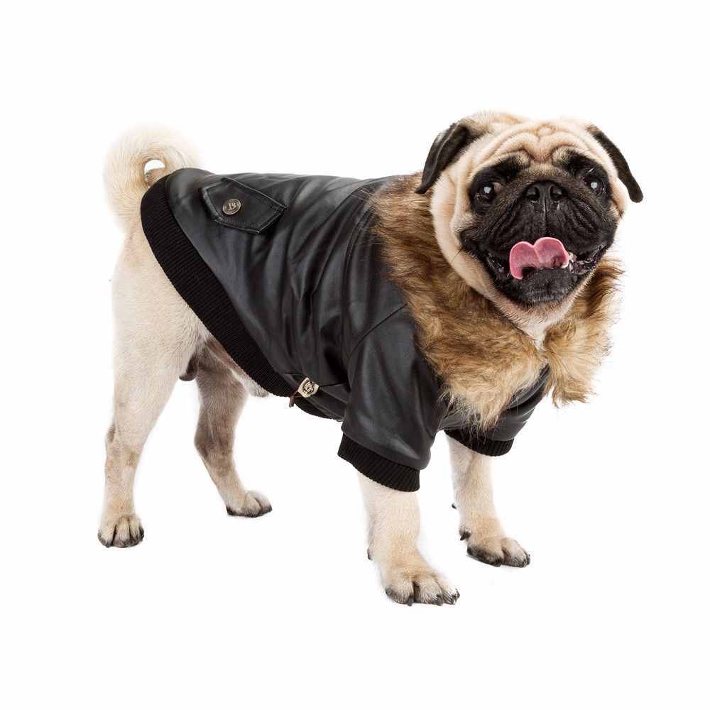 wholesale pet products
