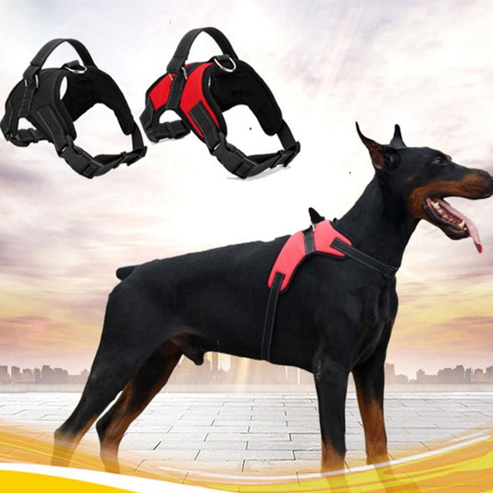durable harness for dogs