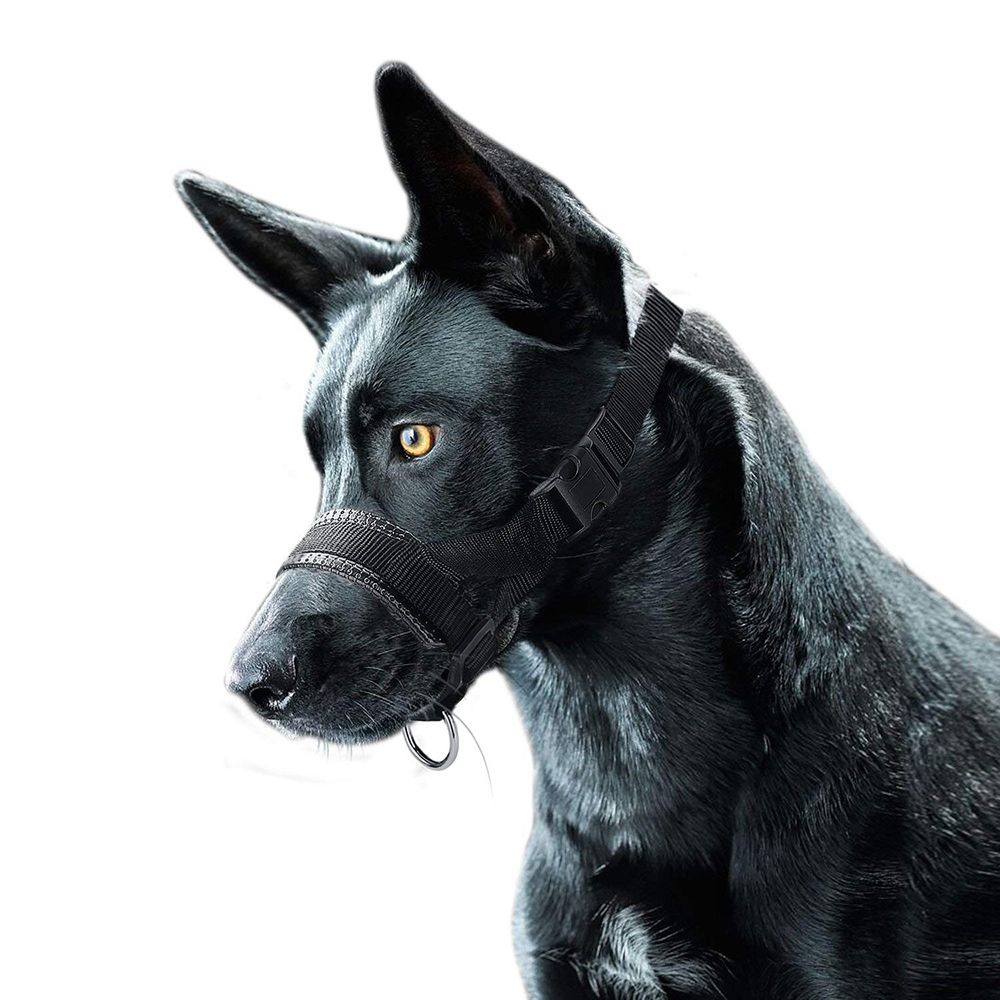 nylon dog muzzle
