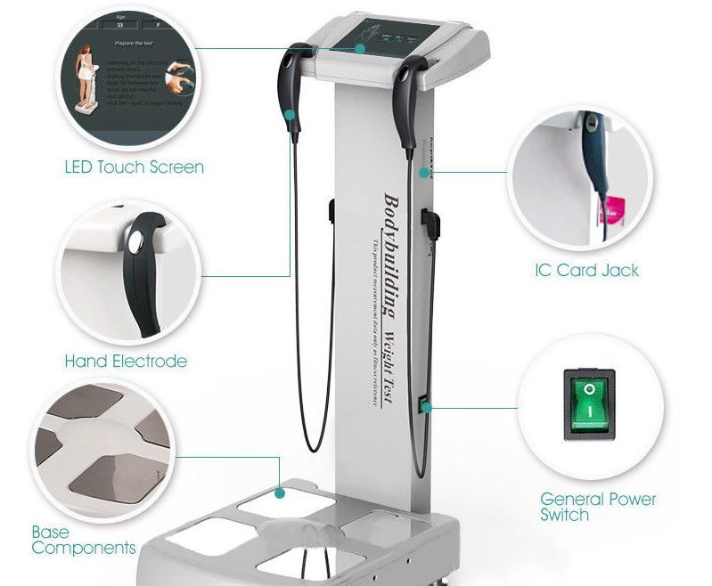 body analyzer scale accuracy