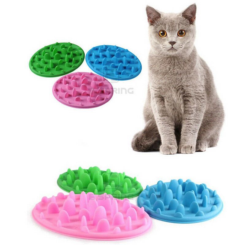 2019 Pet Animals Slow Feed Bowl Dish Slows Puppy Anti Slip