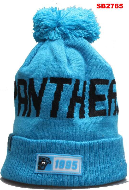 panthers winter hat