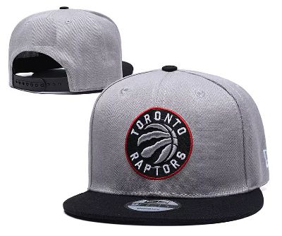 raptors dad hat
