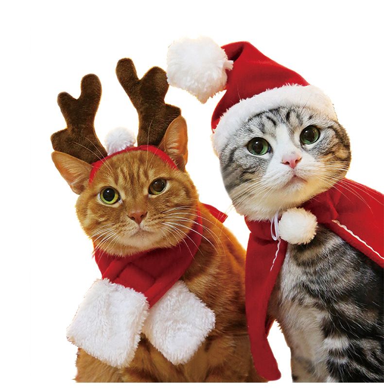 Alfabeto Igualmente Rico Mascota perro gato ropa disfraz halloween gato sombrero bufanda traje capa vestir nuevo año mascota traje Alfabeto Igualmente Rico Mascota perro gato ropa disfraz halloween gato sombrero bufanda traje capa vestir nuevo año mascota traje