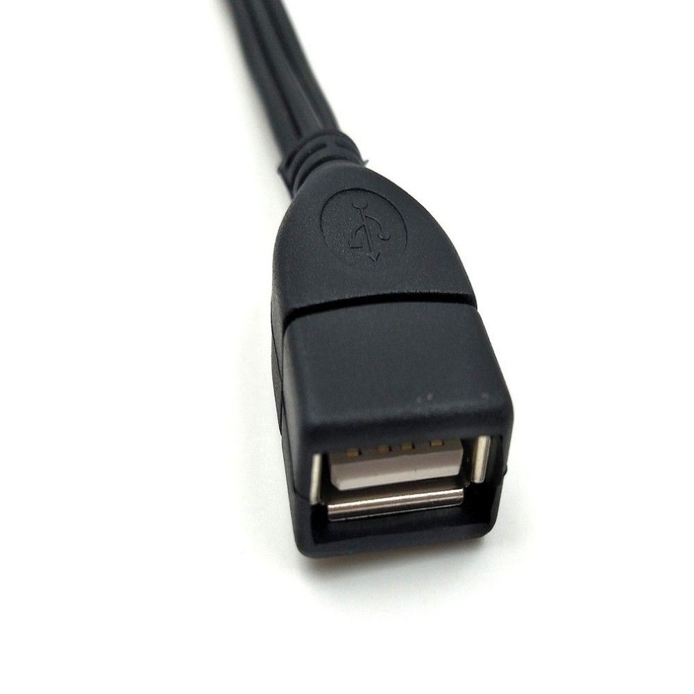 Duttek 5 feet/1.5m USB 2.0 Female to 3 RCA Male Video A/V Camcorder Adapter Cable for TV/Mac/PC