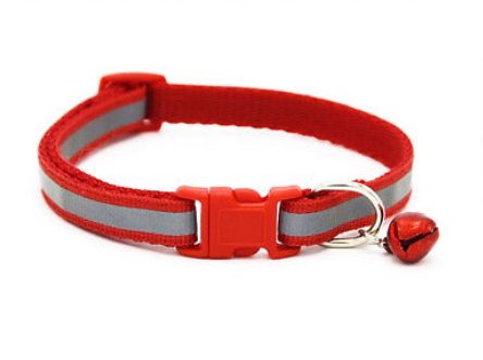 dog collar blinking lights