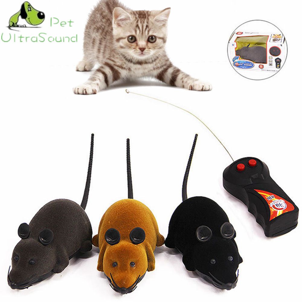 innovative cat toys