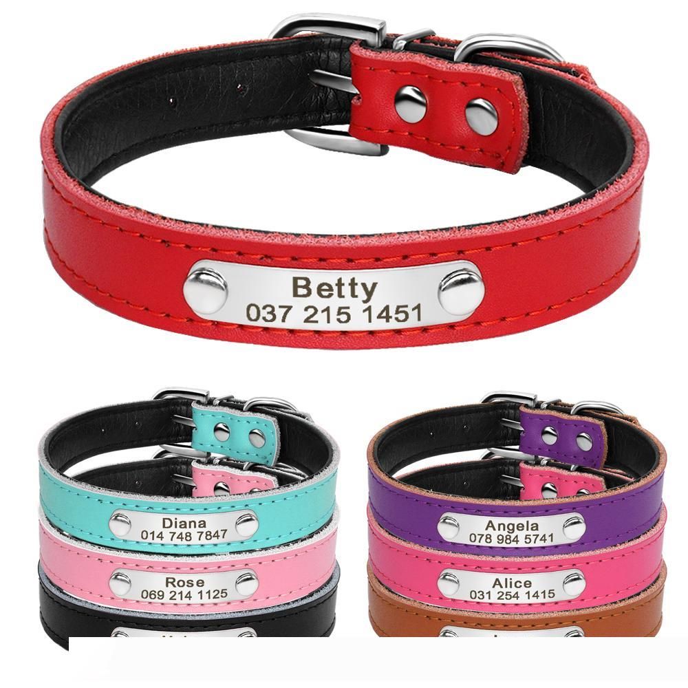 cheap personalized dog collars