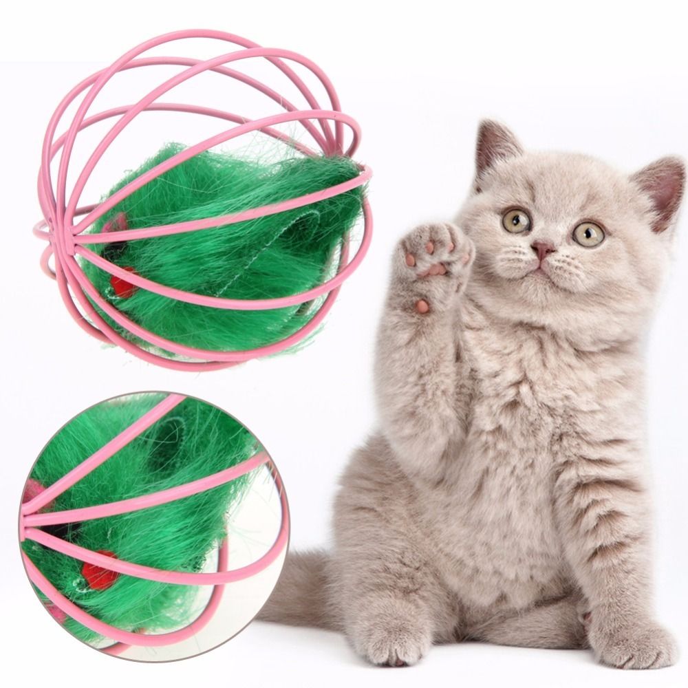 stimulating cat toys