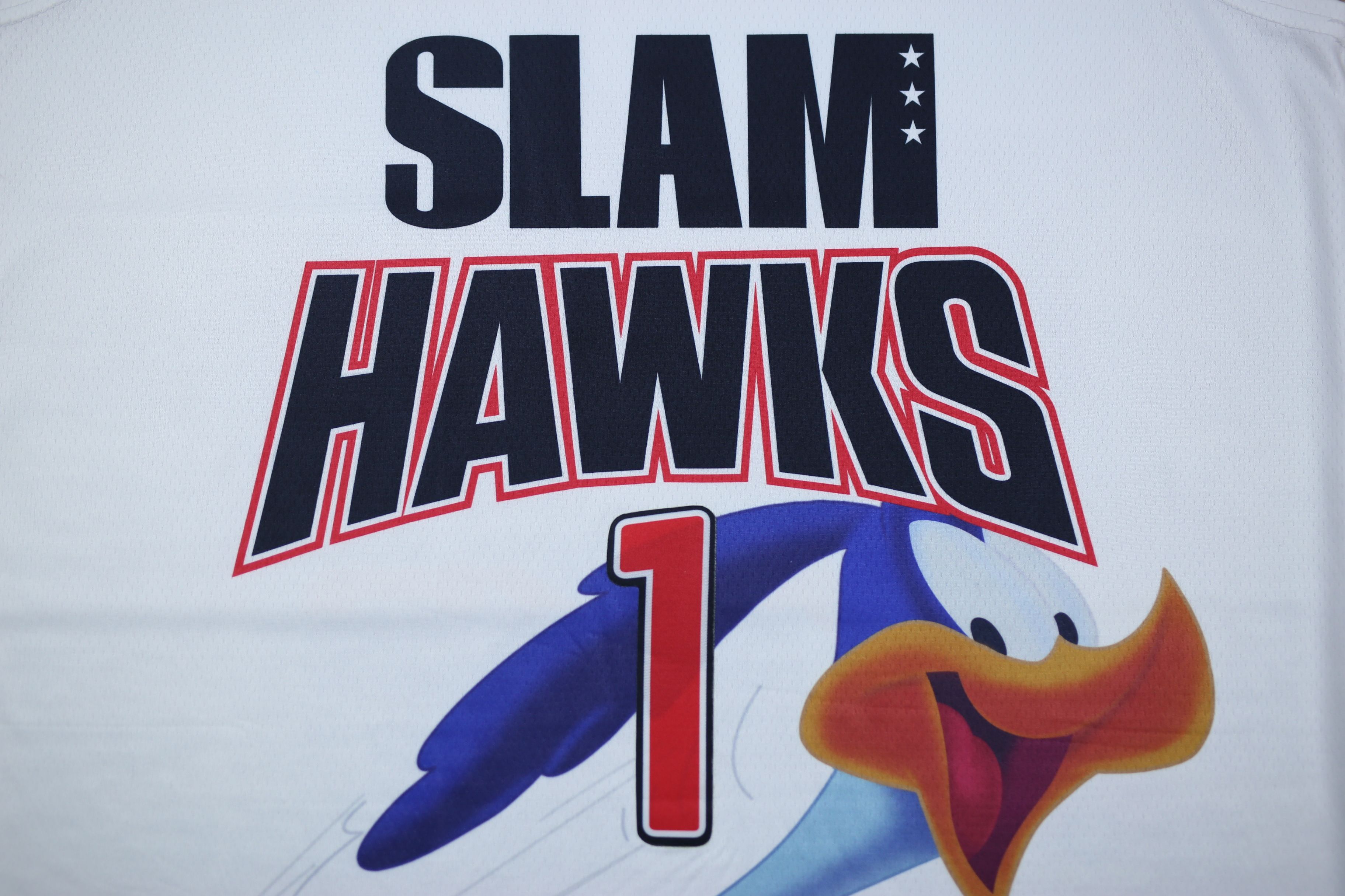 slam hawks jersey