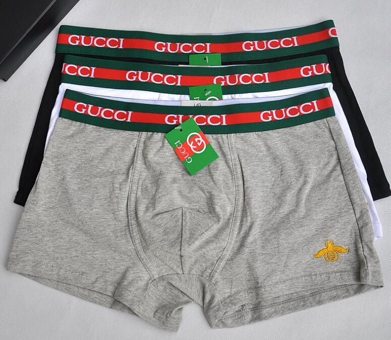calzoncillos de gucci