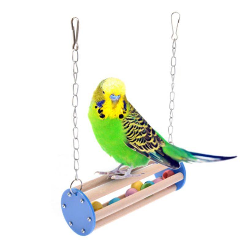 parakeet birds for sale