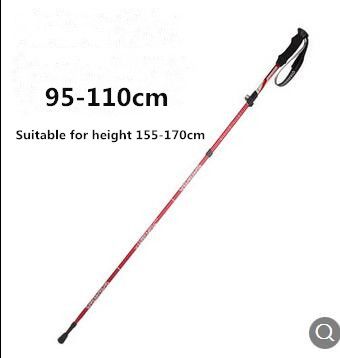 mountain walking stick