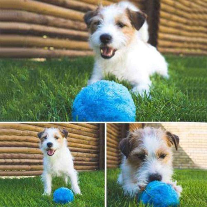 dog magic ball