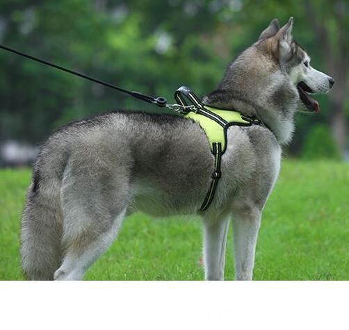 2020 Tailup S Xxl Adjustable Reflective Pet Harness For Collar K9 Padded Extra Big Large Medium Small Dog Harnesses Vest From Along777 11 17 Dhgate Com