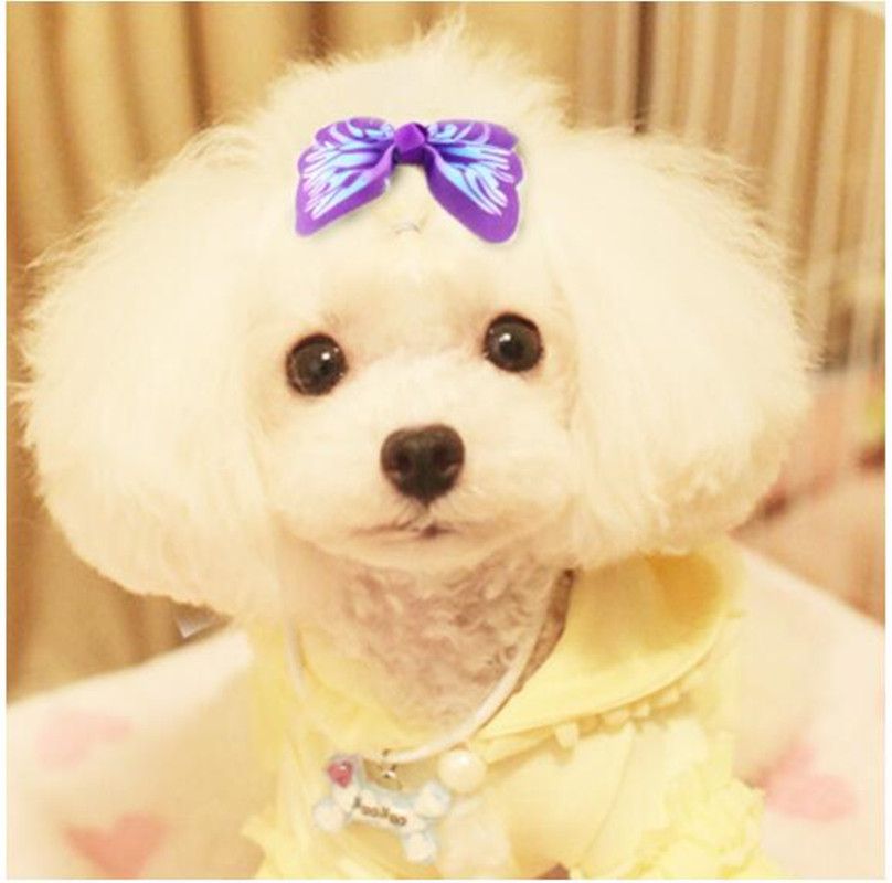 puppy bows
