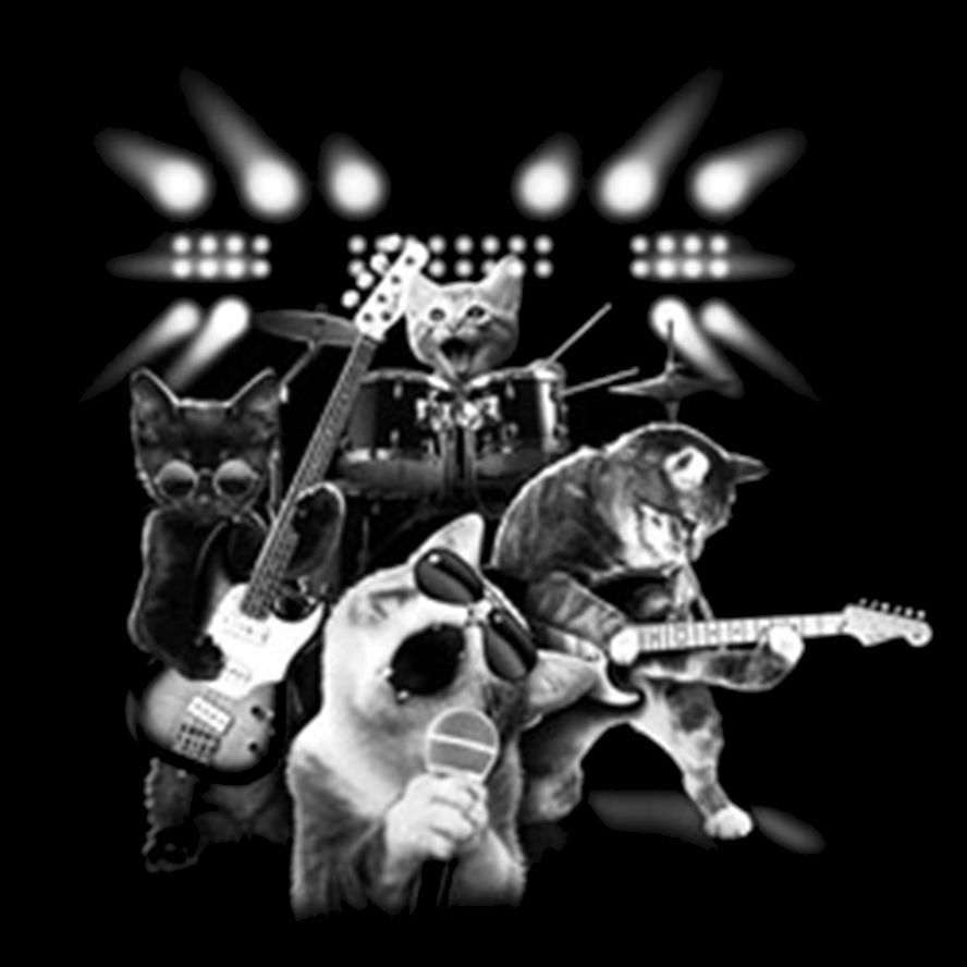 Cat Rock Playing Guitar Kitten Band 