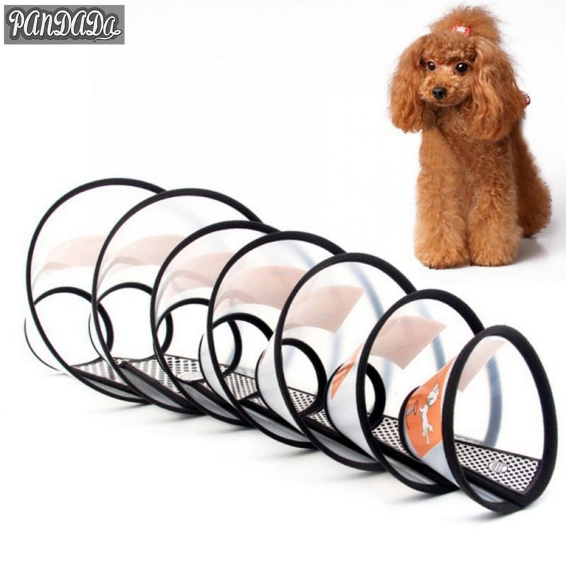 dog cone to prevent licking