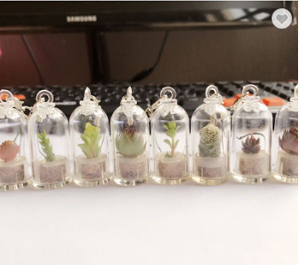 Live sales cactus keychain