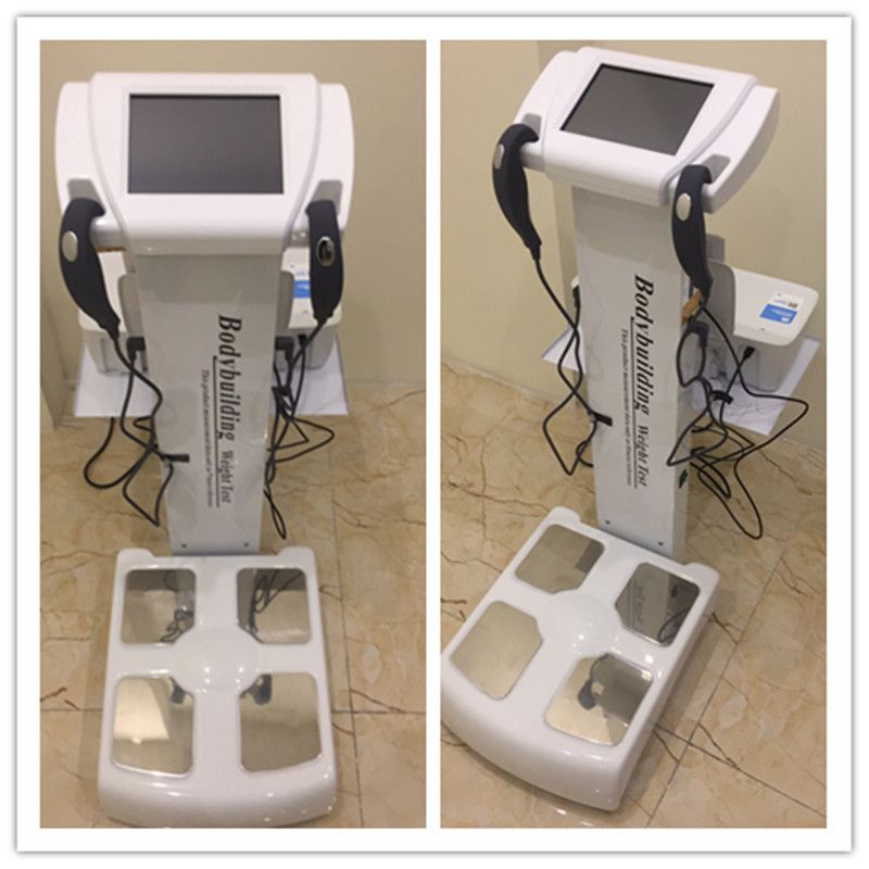 Body Composition Analyzer Equipment For Human Body Fat Test Health