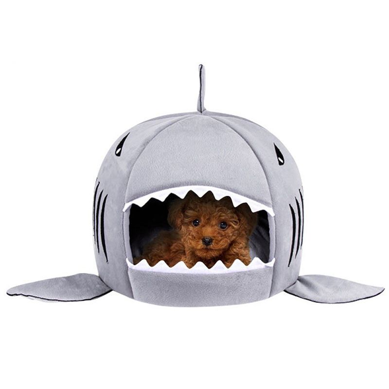 shark dog bed