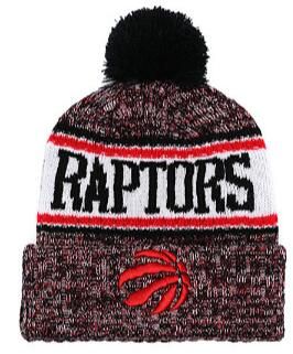 raptors winter hat