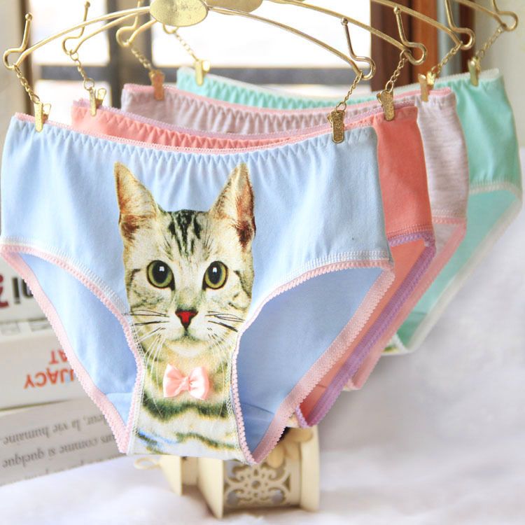Compra Cat 3D Calzoncillos Con Patrón De Gato Personalidad Ropa Interior De  Mujer Algodón Cometa Gato Gatito Ropa Interior Mujer Barato | Entrega  Rápida Y Calidad | Es.Dhgate