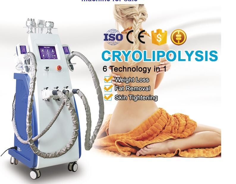 Newest Fat Reduce 3 Cryo Handle Cryolipolysis Cryotherapy 800W Ultrasonic Vacuum Lipo Weight
