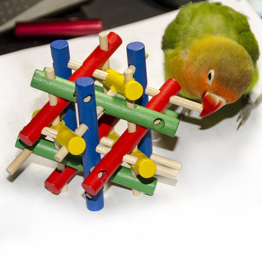 bird puzzle toys